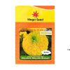 Gói 50 Hạt Giống Vạn Thọ F1 MEGA B2 Pro – Vàng Chanh, Cổ Lùn, Bông To – Mega Seed