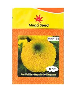 Gói 50 Hạt Giống Vạn Thọ F1 MEGA B2 – Vàng Chanh, Cổ Cứng, Bông To, Cây Khỏe – Mega Seed