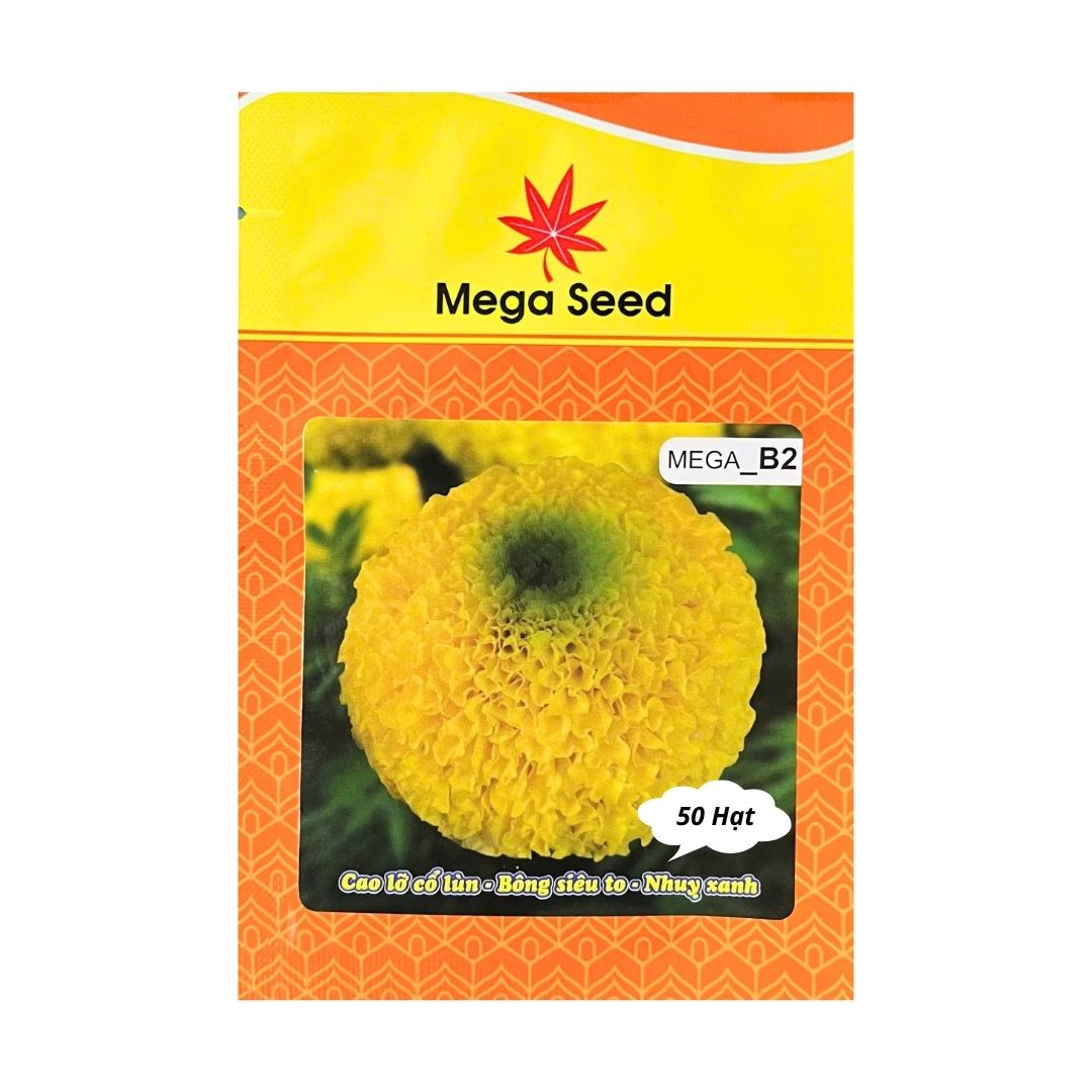 Gói 50 Hạt Giống Vạn Thọ F1 MEGA B2 – Vàng Chanh, Cổ Cứng, Bông To, Cây Khỏe – Mega Seed