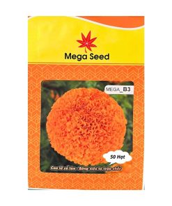 Gói 50 Hạt Giống Vạn Thọ F1 MEGA B3 – Cam Đỏ, Cổ Lùn, Bông Siêu To – Mega Seed