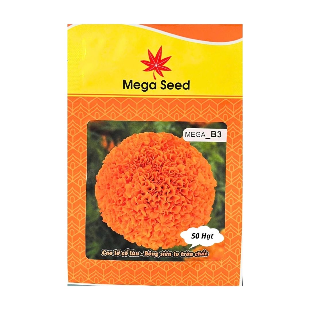 Gói 50 Hạt Giống Vạn Thọ F1 MEGA B3 – Cam Đỏ, Cổ Lùn, Bông Siêu To – Mega Seed