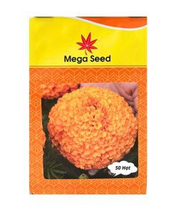Gói 50 Hạt Giống Vạn Thọ Lùn F1 BINDI Cam Đỏ – Cổ Lùn, Bông To – Mega Seed