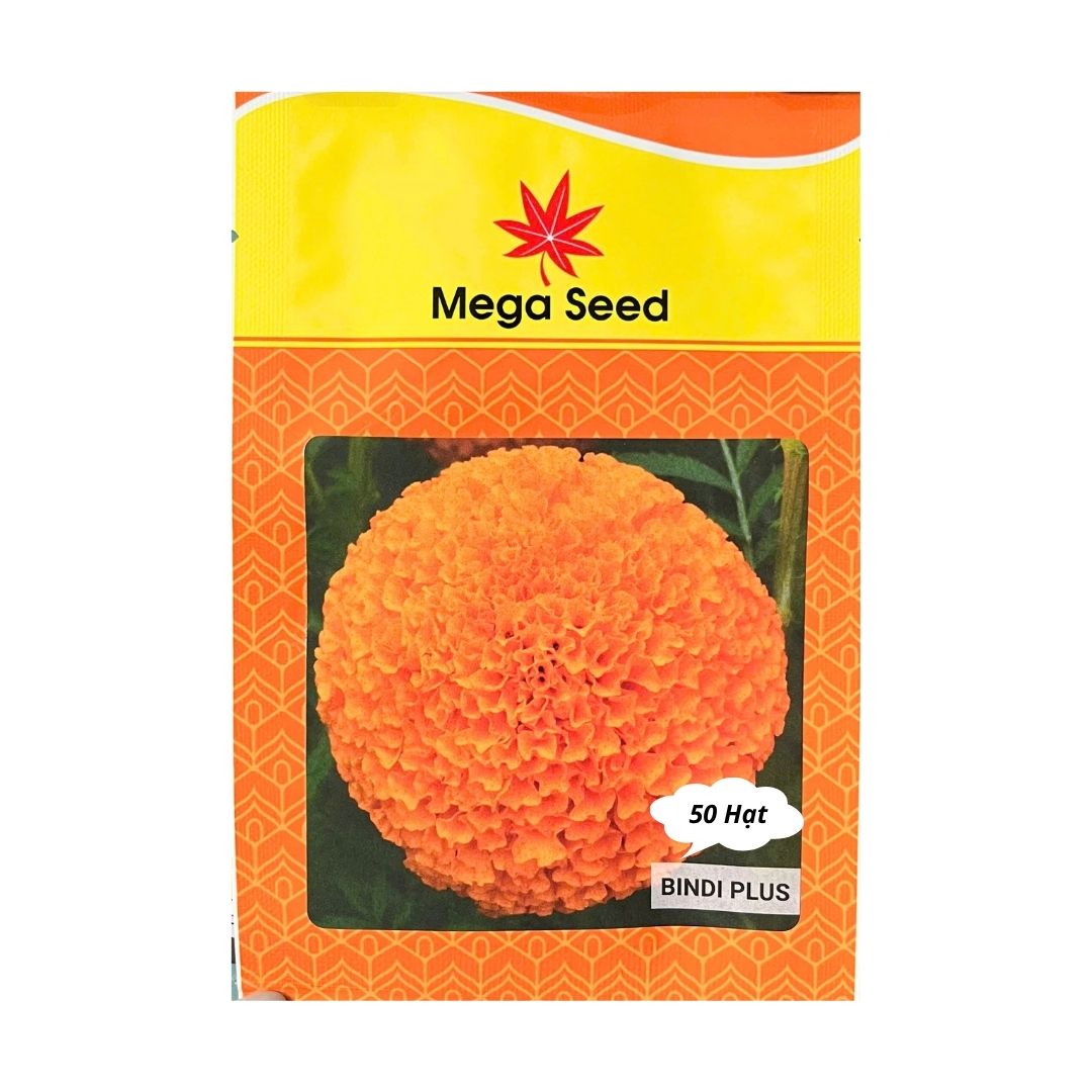 Gói 50 Hạt Giống Vạn Thọ F1 BINDI(+) Cam Đỏ – Cổ Lùn, Bông 8-10CM – Mega Seed