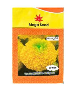 Gói 50 Hạt Giống Vạn Thọ F1 MEGA G8 – Vàng Chanh, Cổ Cứng Khỏe, Bông To – Mega Seed
