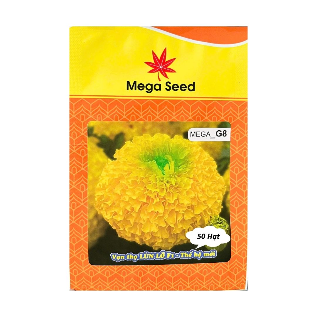 Gói 50 Hạt Giống Vạn Thọ F1 MEGA G8 – Vàng Chanh, Cổ Cứng Khỏe, Bông To – Mega Seed