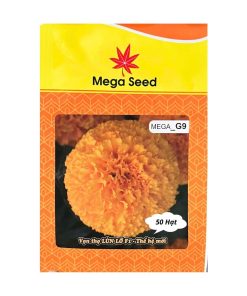 Gói 50 Hạt Giống Vạn Thọ F1 MEGA G9 – Cam Lùn, Cổ Cứng Khỏe, Bông To – Mega Seed