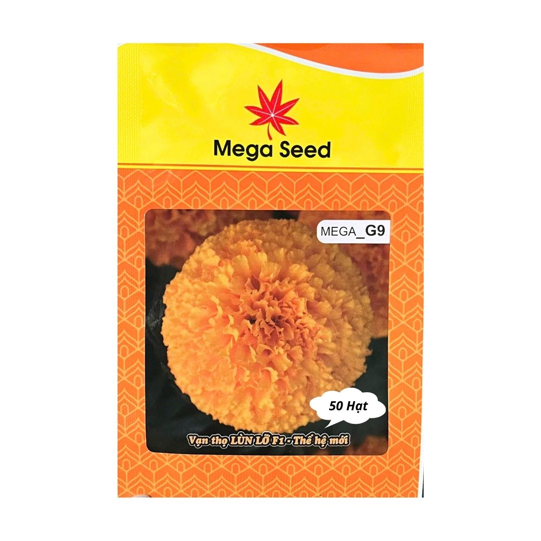 Gói 50 Hạt Giống Vạn Thọ F1 MEGA G9 – Cam Lùn, Cổ Cứng Khỏe, Bông To – Mega Seed