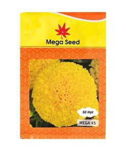 Gói 50 Hạt Giống Vạn Thọ Lùn F1 MEGA 45 – Vàng Chanh, Bông To, Cây Thấp – Mega Seed