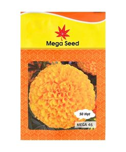 Gói 50 Hạt Giống Vạn Thọ Lùn F1 MEGA 46 Cam Đỏ – Bông To, Cây Thấp – Mega Seed