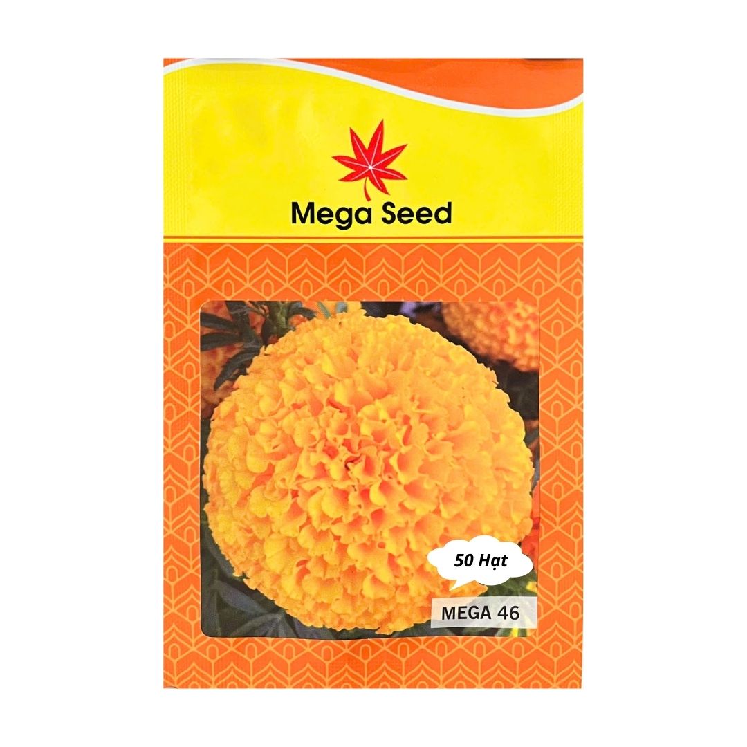 Gói 50 Hạt Giống Vạn Thọ Lùn F1 MEGA 46 Cam Đỏ – Bông To, Cây Thấp – Mega Seed