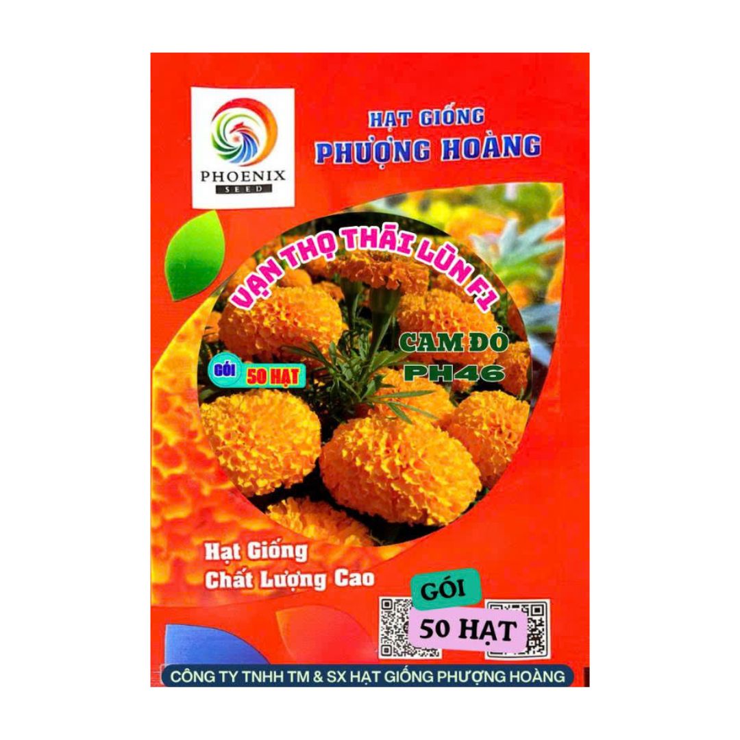 Gói 50 Hạt Vạn Thọ Thái Lùn F1 PH46 – Cam Đỏ, Cao 35–45cm
