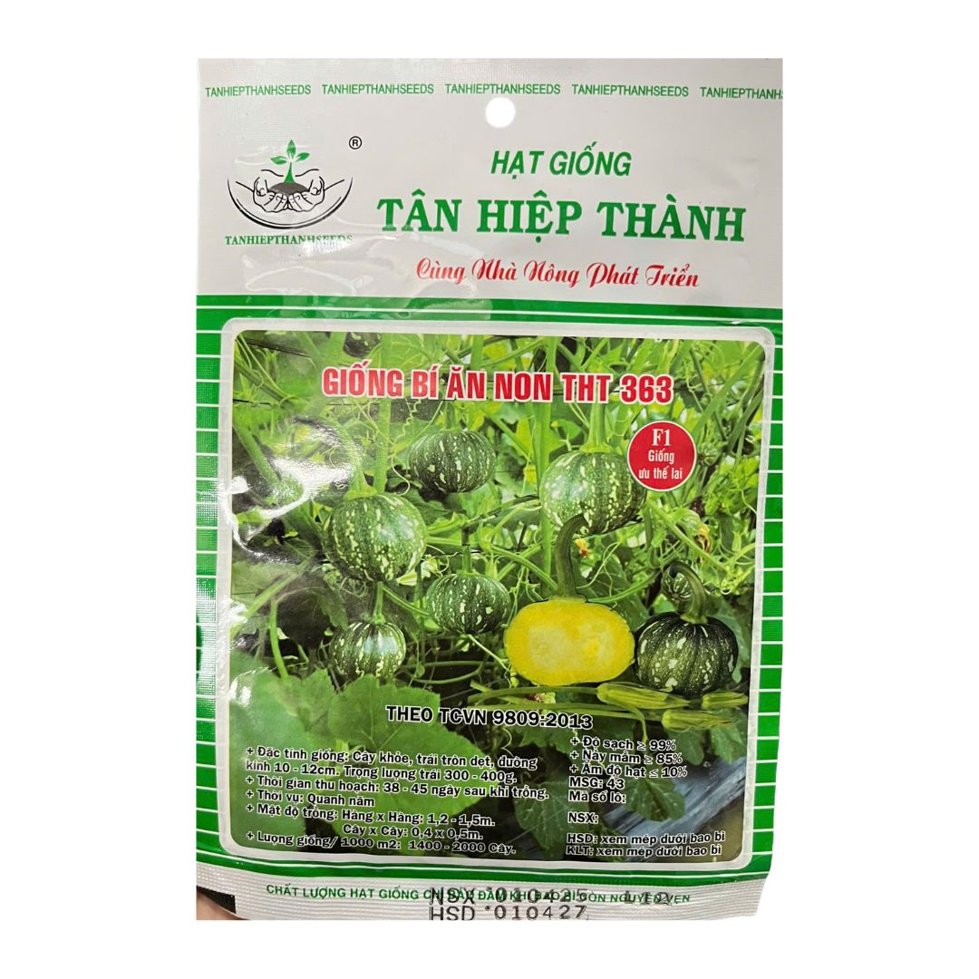 Hạt Giống Bí Ăn Non Lai F1 THT 363 Gói 100 Hạt – Trái Non Đẹp, Cây Khỏe, Dễ Trồng, Năng Suất Tốt