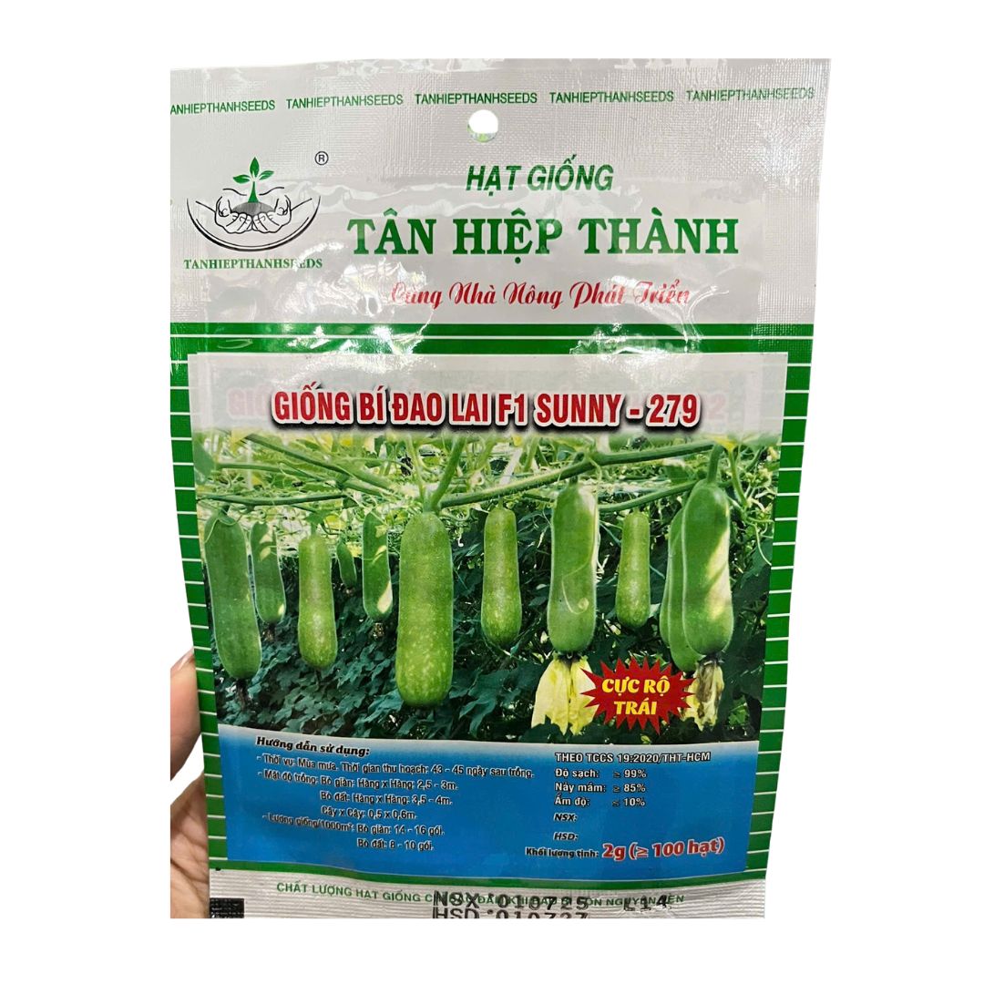 Hạt Giống Bí Đao Lai F1 SUNNY 279 Gói 2G – Cây Khỏe, Trái Đẹp, Sinh Trưởng Tốt, Năng Suất Cao