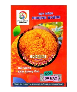 Gói 50 Hạt Vạn Thọ Mỹ F1 PHBINDI – Cam Đỏ, Cao 40–45cm