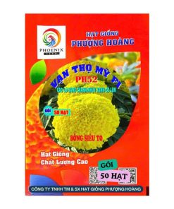 Gói 50 Hạt Vạn Thọ Mỹ F1 PH52 – Vàng Chanh, Nhụy Xanh, Cao 50–55cm