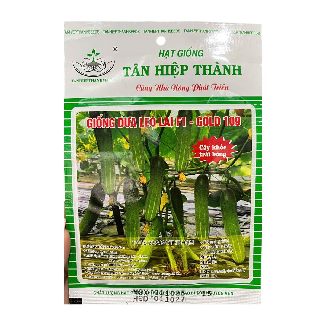 Hạt Giống Dưa Leo F1 GOLD 109 Gói 10G – Cây Khỏe, Trái Đẹp, Sai Trái, Năng Suất Cao