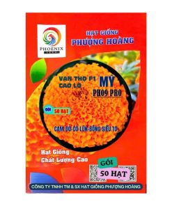 Gói 50 Hạt Vạn Thọ Mỹ F1 PH09PRO – Cao Lỡ, Cổ Lùn