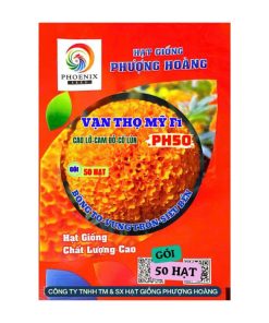 Gói 50 Hạt Vạn Thọ Mỹ F1 PH50 – Cam Đỏ, Cổ Lùn, Cao 50–55cm