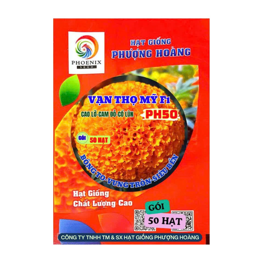 Gói 50 Hạt Vạn Thọ Mỹ F1 PH50 – Cam Đỏ, Cổ Lùn, Cao 50–55cm
