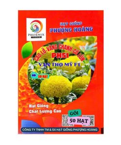 Gói 50 Hạt Vạn Thọ Mỹ F1 PH51 – Vàng Chanh, Cổ Lùn, Cao 50–55cm