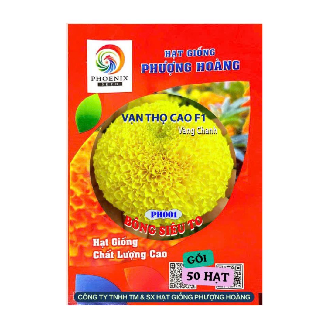 Gói 50 Hạt Vạn Thọ Pháp Cao F1 PH001 – Vàng Chanh, Cao 70–90cm