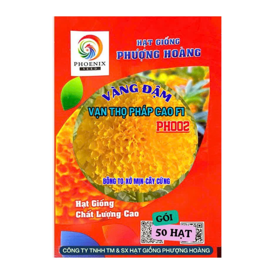 Gói 50 Hạt Vạn Thọ Pháp Cao F1 PH002 – Cam Đỏ, Cao 70–90cm