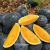 Hạt Giống Dưa Hấu F1 Hoàng Kim Long 368 20g – Ruột Vàng Cam, Trái 3–5kg, Thu 55–60 Ngày - Ảnh 7